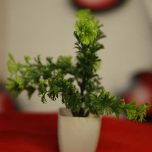 Beauty Artificial Plant for Home Decor